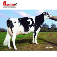Tinh bò sữa HF - DE-SU 13460 MARTEZ-ET